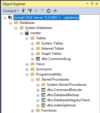 Connected to the SQL Server container in SSMS.