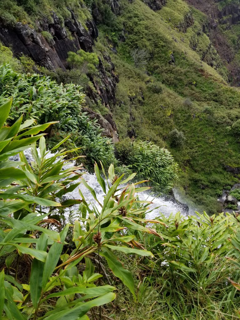 Waimea Canyon waterfall